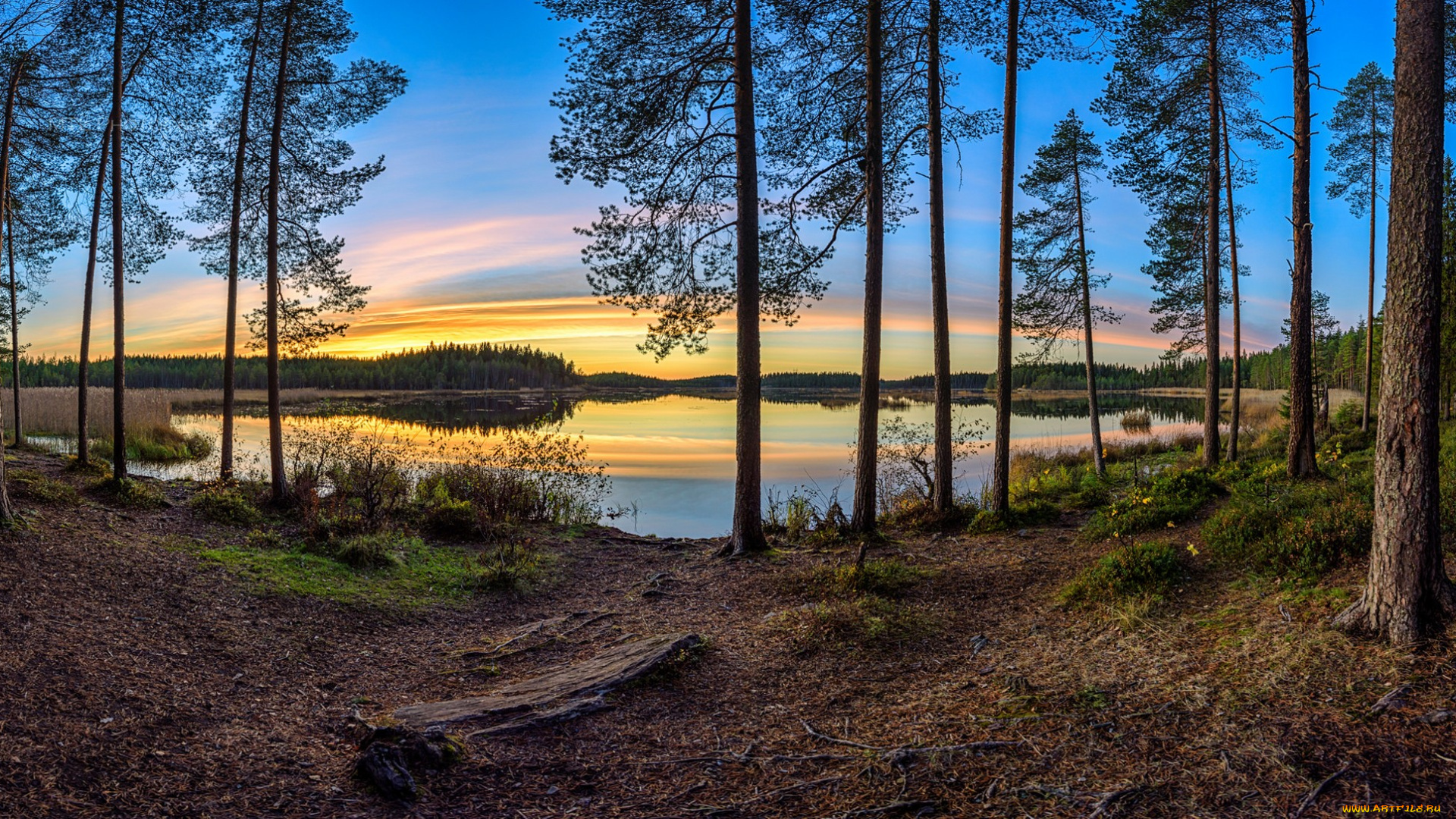 природа, реки, озера, река, лес