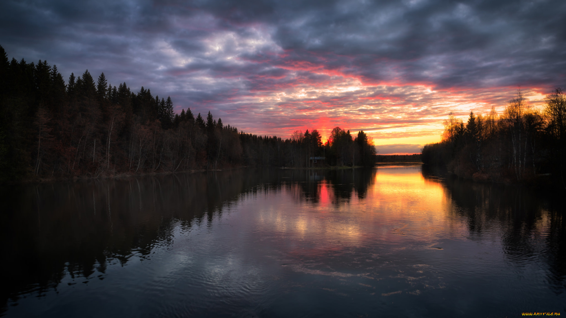 природа, восходы, закаты, река, лес, закат, облака
