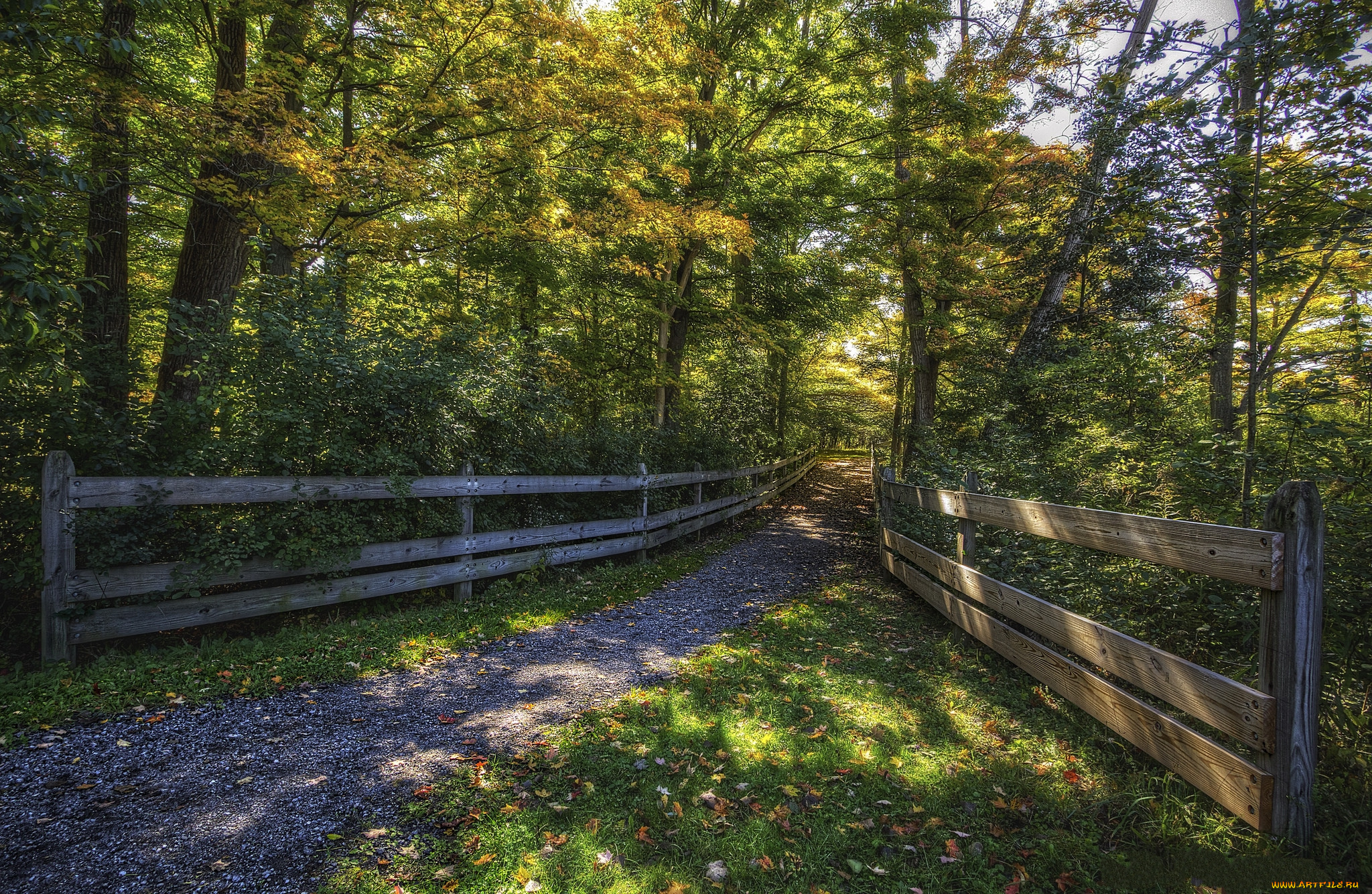 природа, дороги, тракт