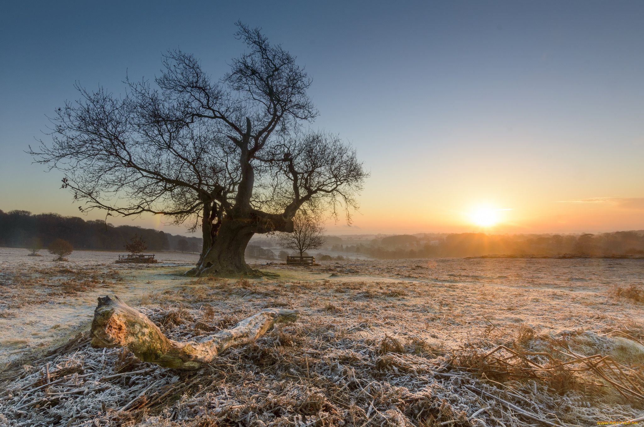 природа, восходы, закаты, рассвет