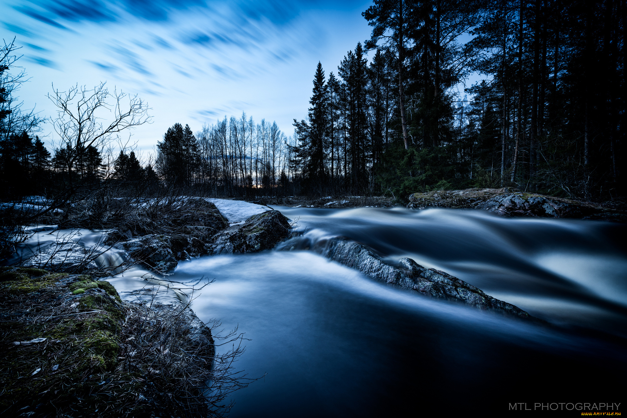 природа, реки, озера, лес, река