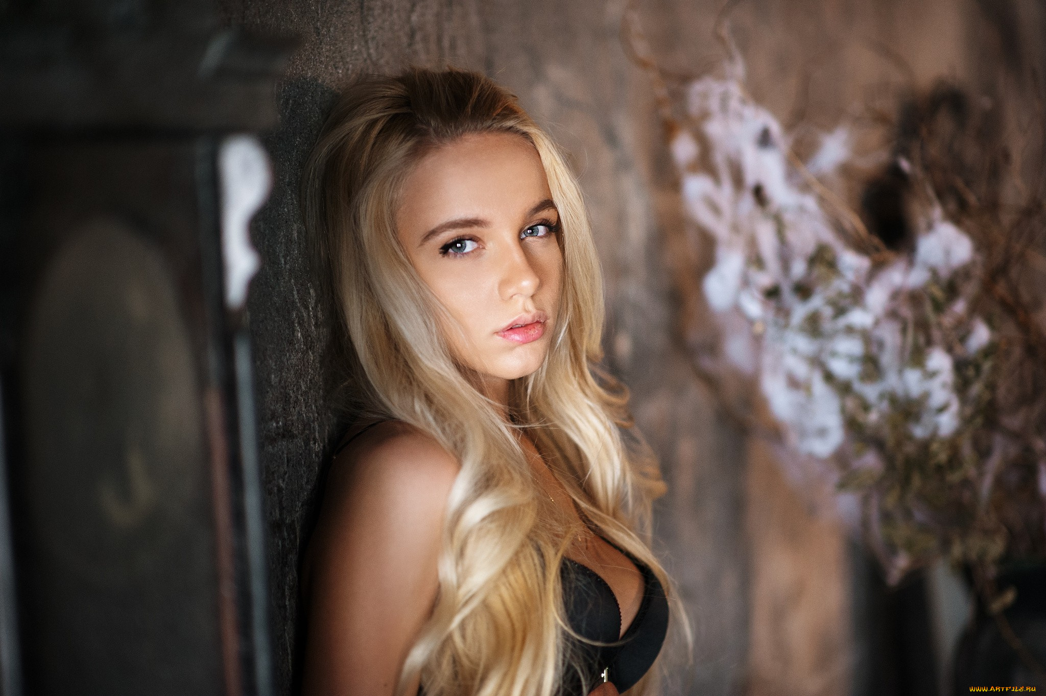 девушка, девушки, -unsort, , блондинки, , светловолосые, модель