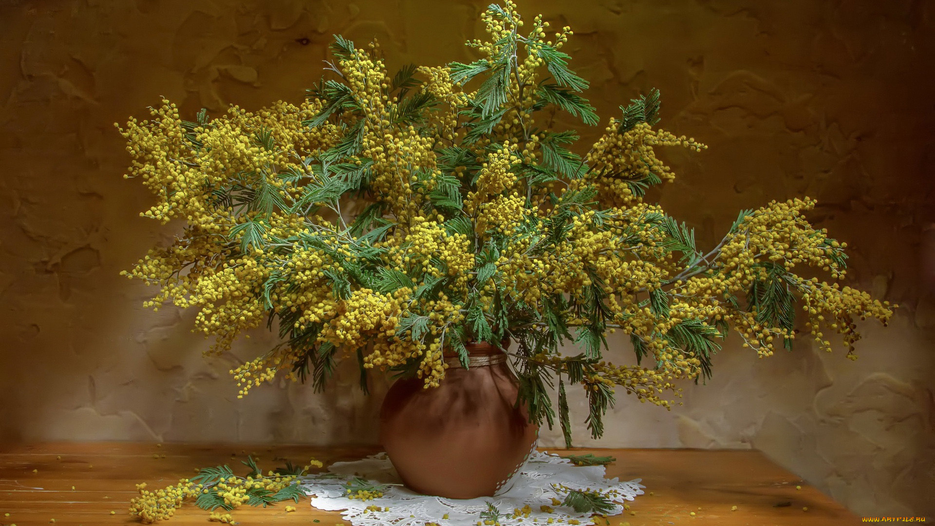 цветы, мимоза, желтый