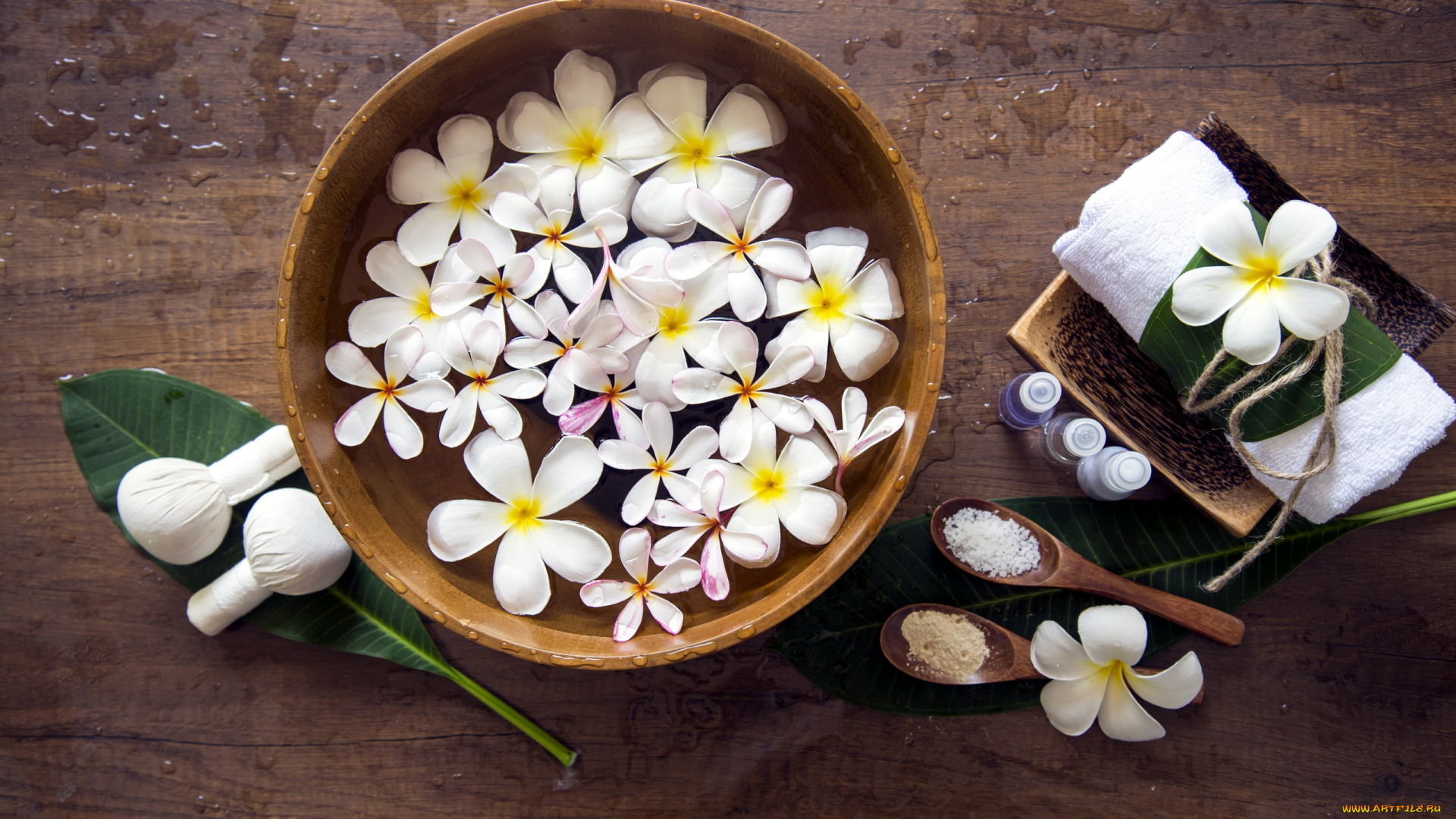 цветы, плюмерия, белый