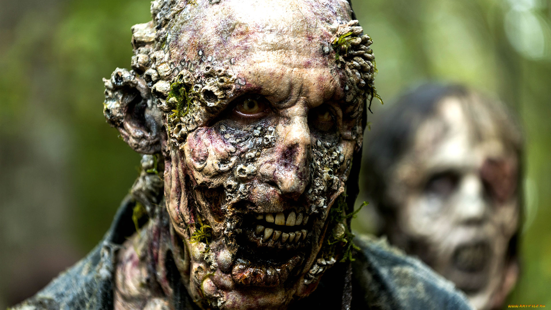 кино, фильмы, the, walking, dead, apocalyptic, survival, zombie, horror, series