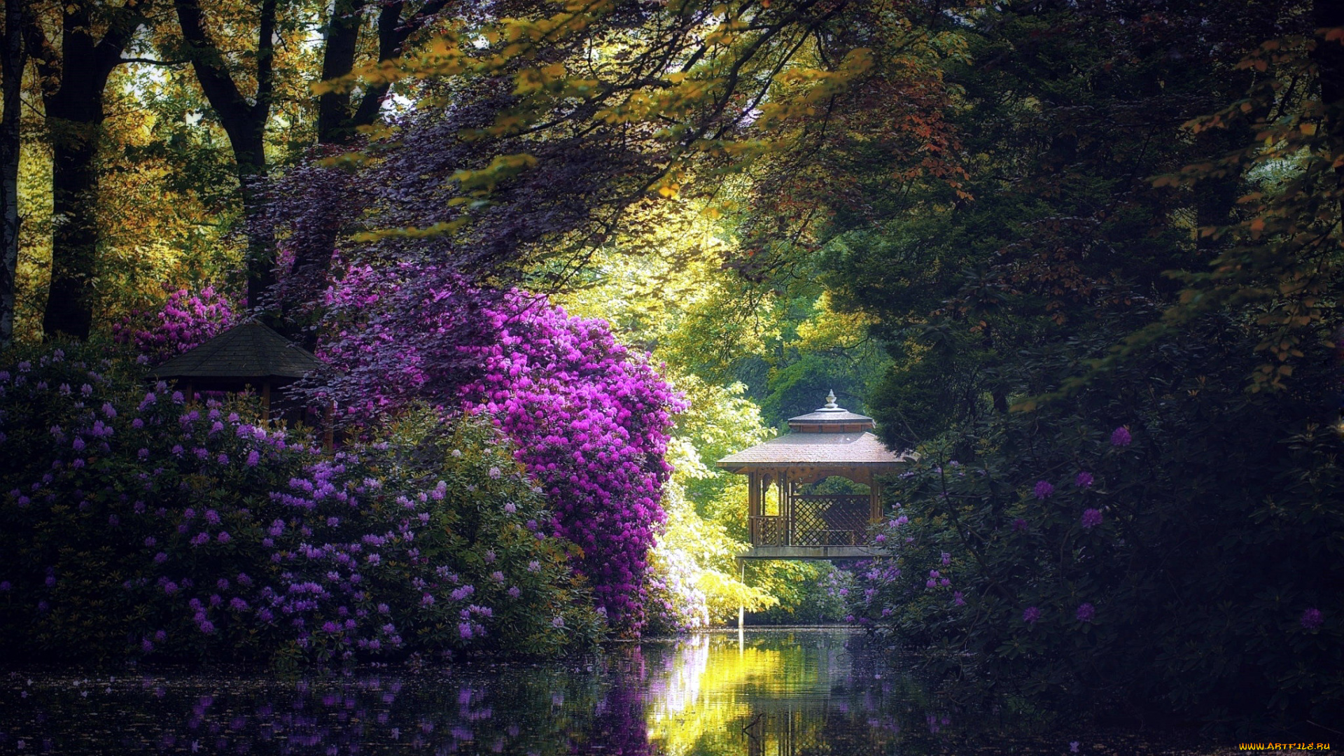 природа, парк, водоем, беседка, весна, цветение