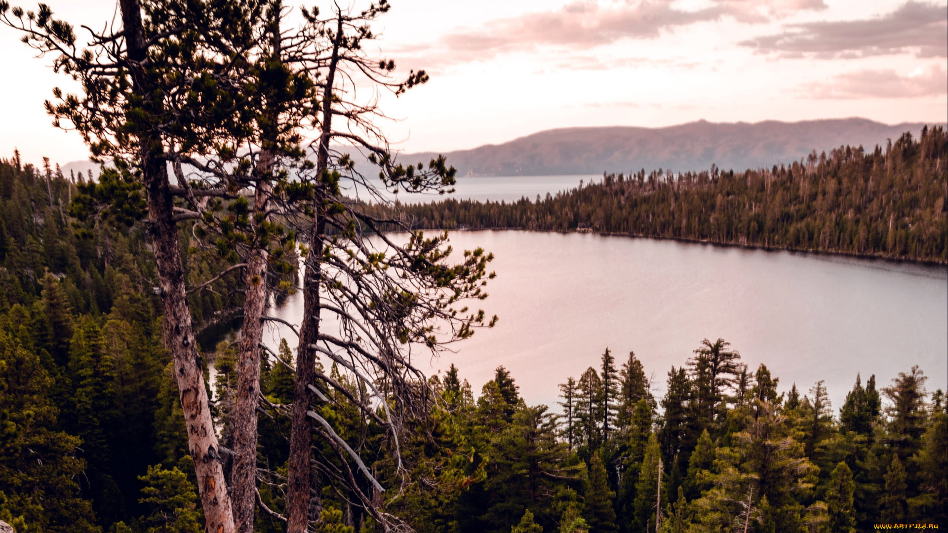 природа, реки, озера, горы, река, лес