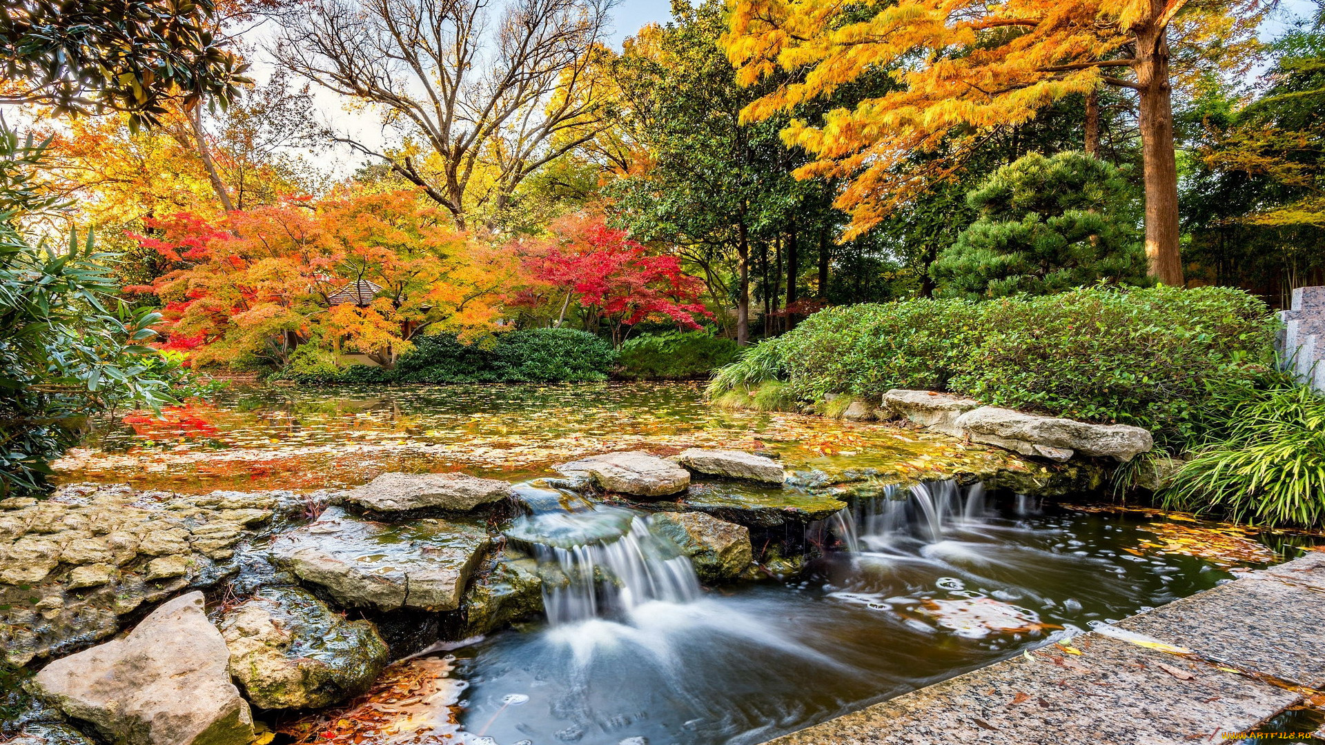 природа, водопады, водоем, парк, водопад, деревья, осень