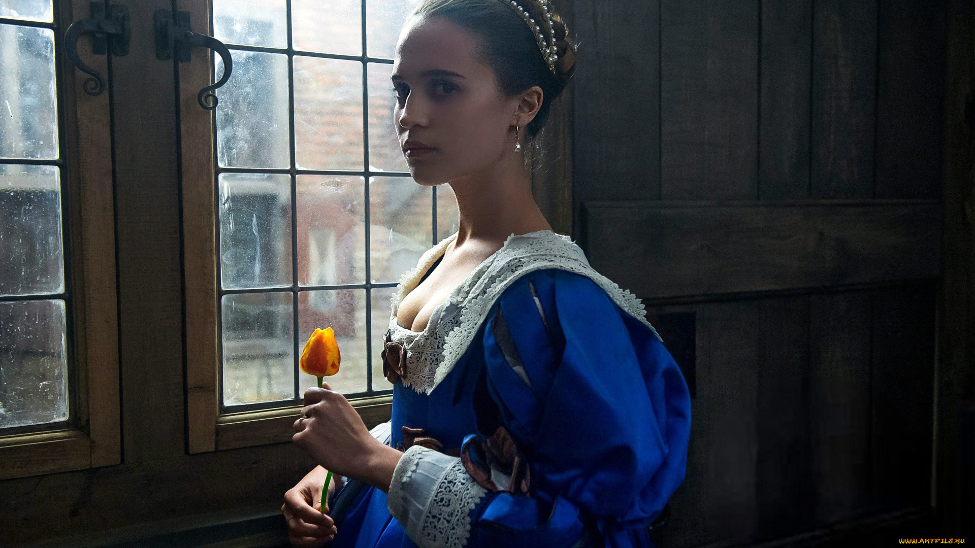 tulip, fever, кино, фильмы, -unknown, , другое, tulip, fever