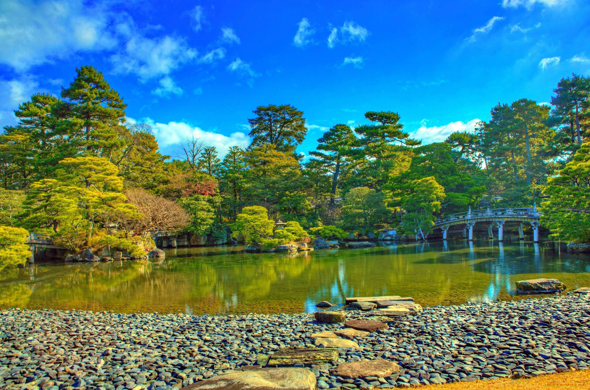 природа, парк, водоем, мостик