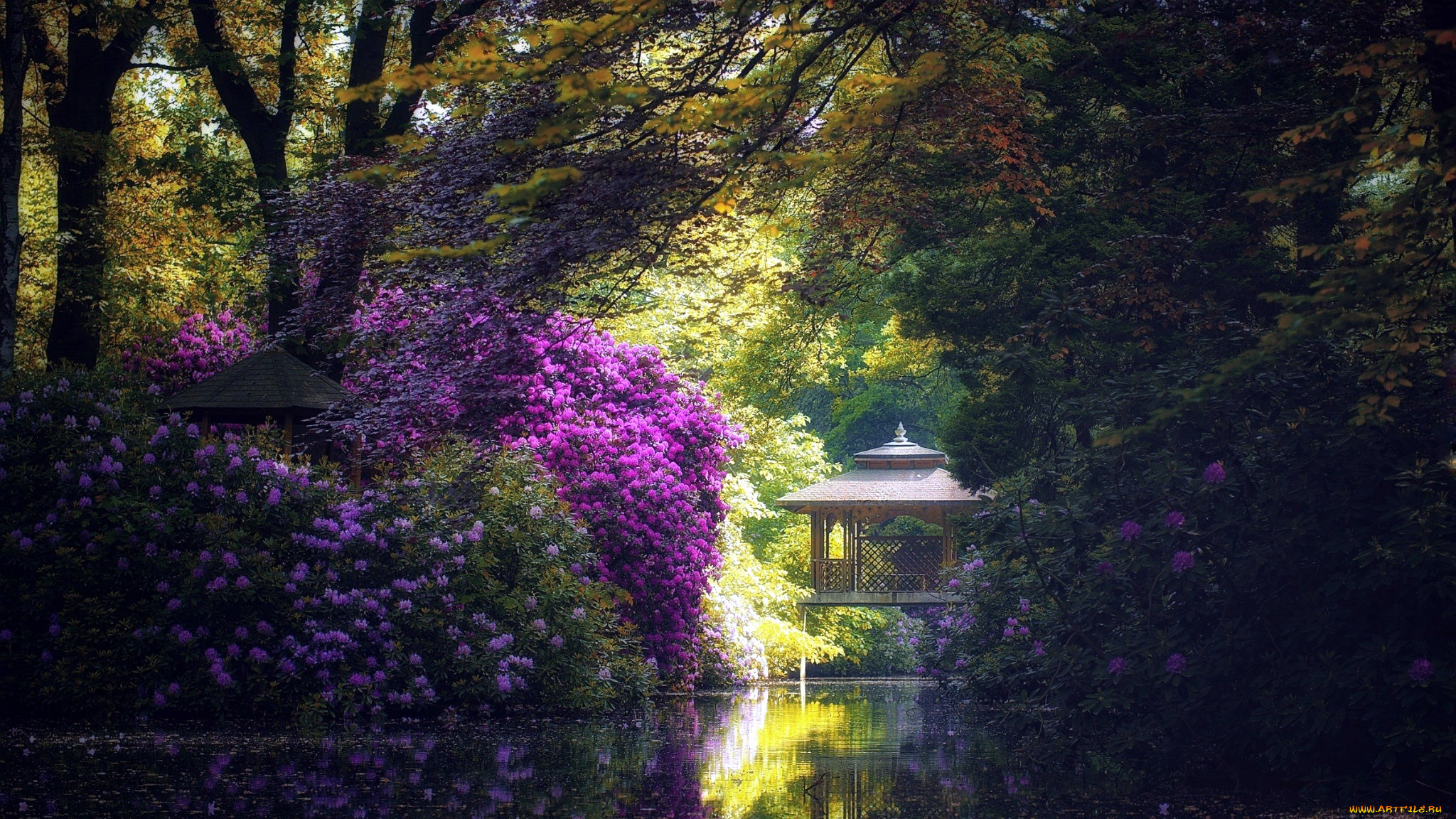 природа, парк, водоем, беседка, весна, цветение