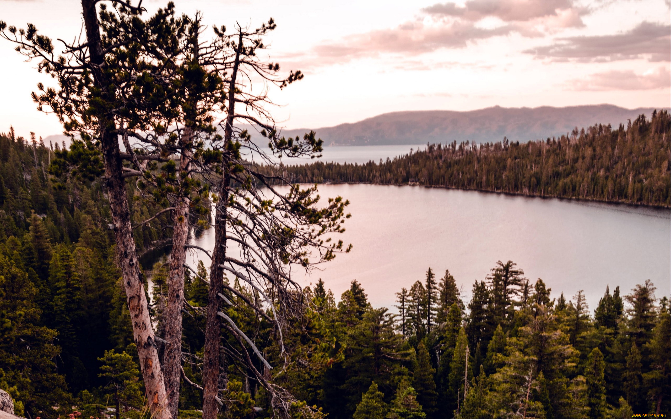 природа, реки, озера, горы, река, лес