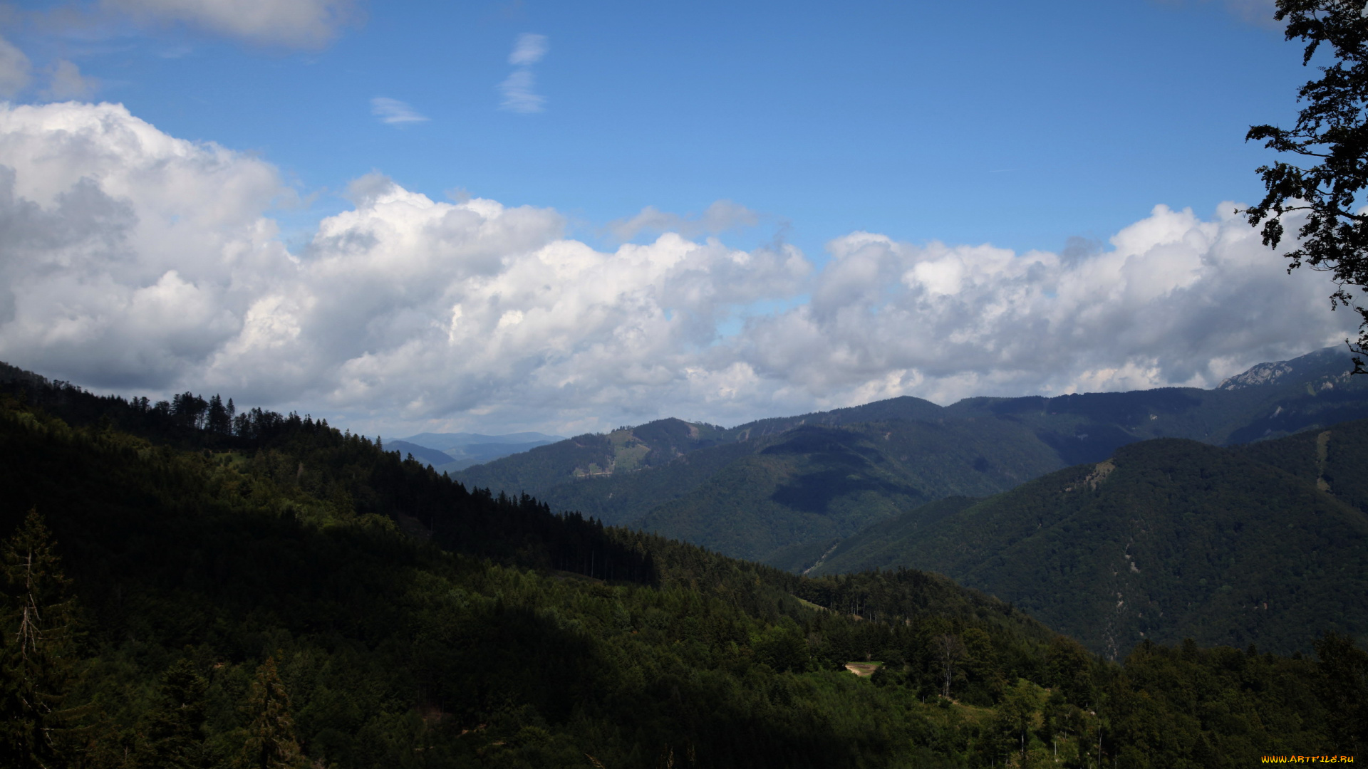 чехия, природа, горы