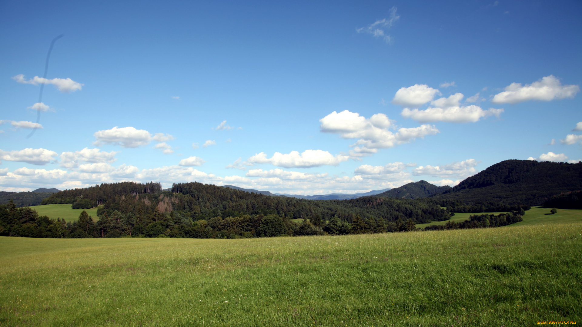 чехия, природа, луга