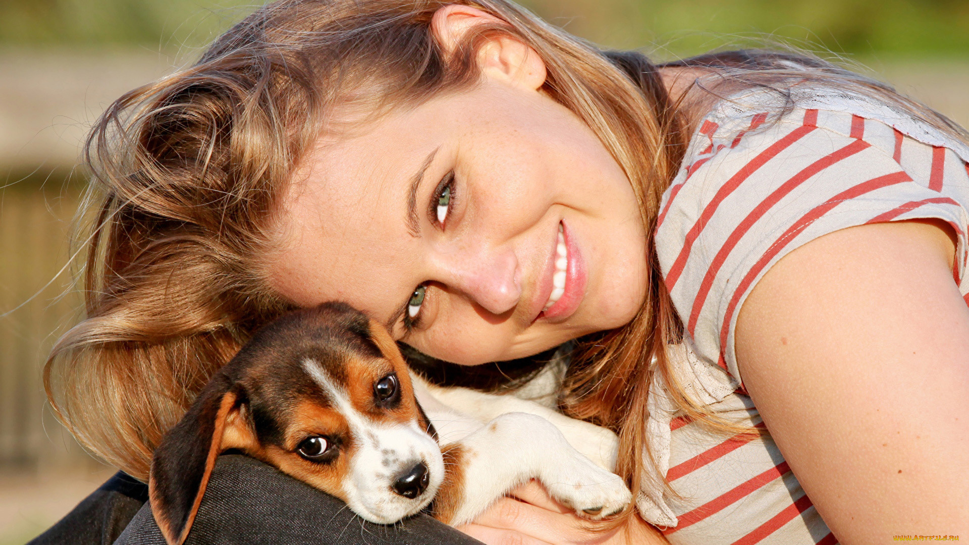 девушки, -, блондинки, , светловолосые, щенок, собака, хаски, блондинка, улыбка