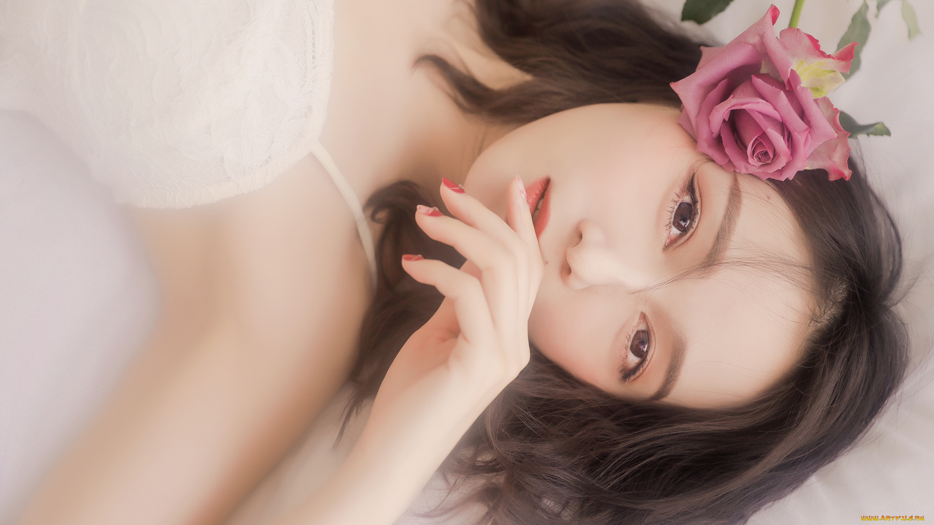 девушки, -, лица, , портреты, лицо, роза