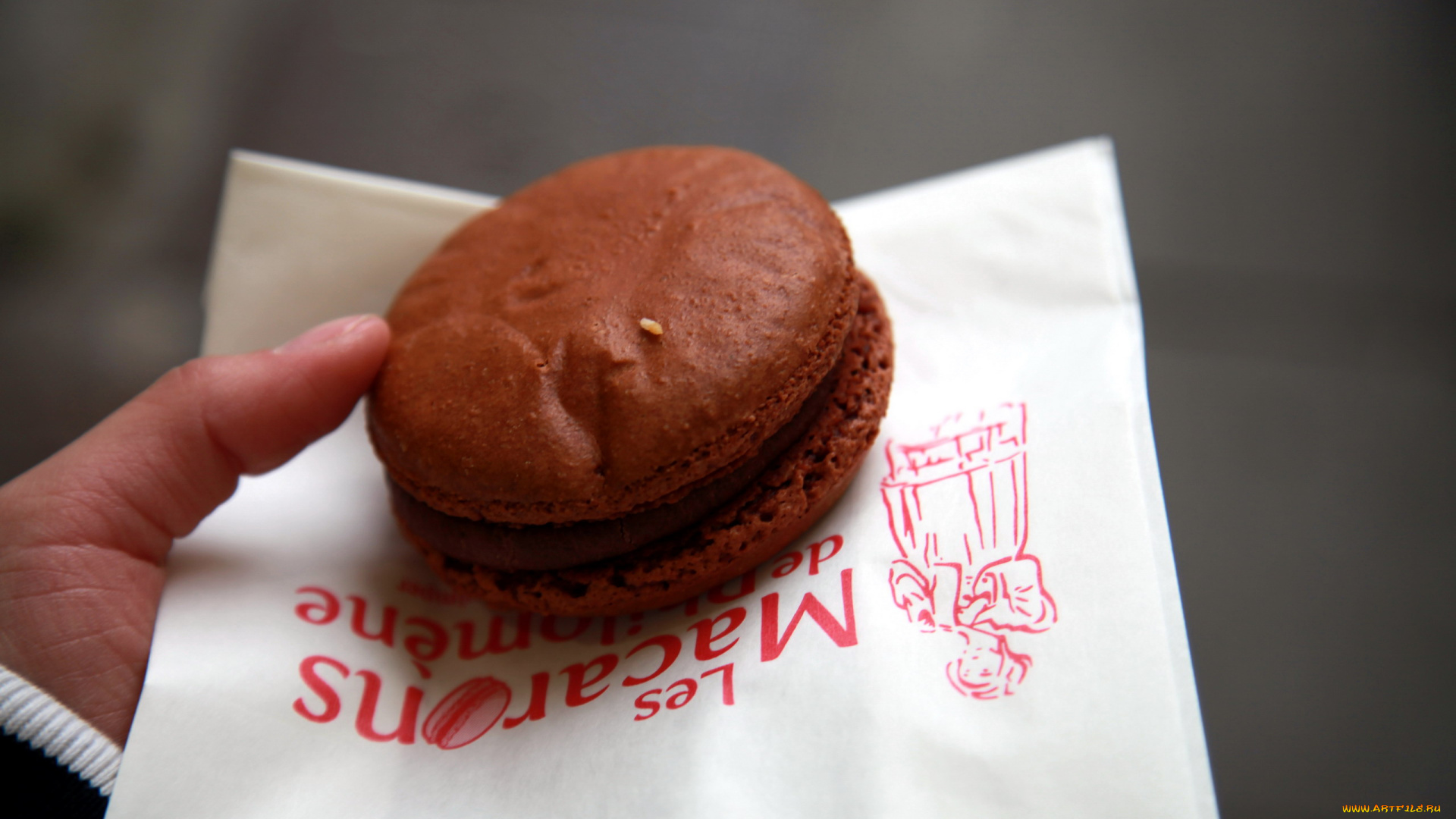 еда, макаруны, шоколадный, макарун, десерт