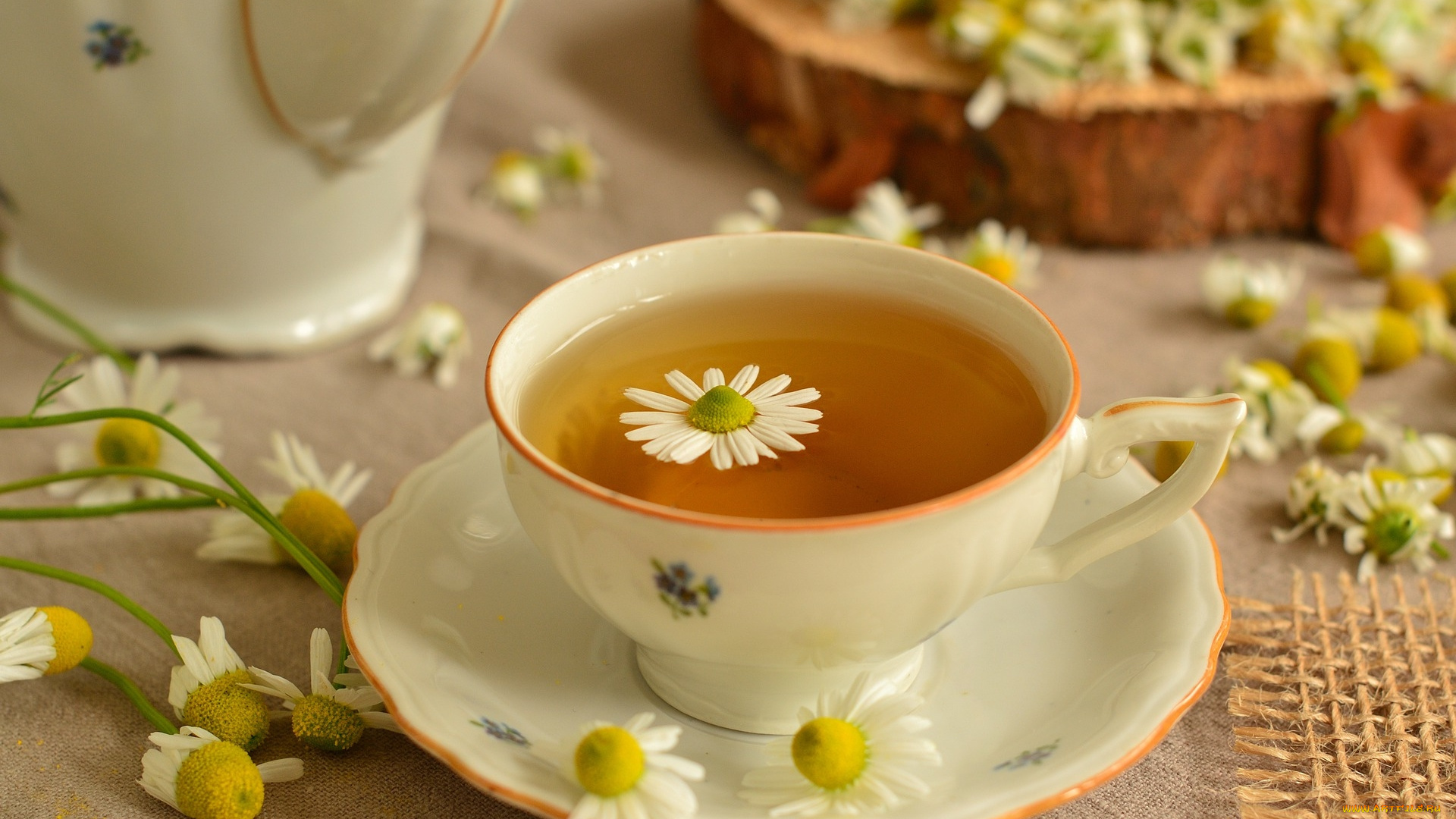 еда, напитки, , чай, ромашковый, чай, цветочный, ромашки