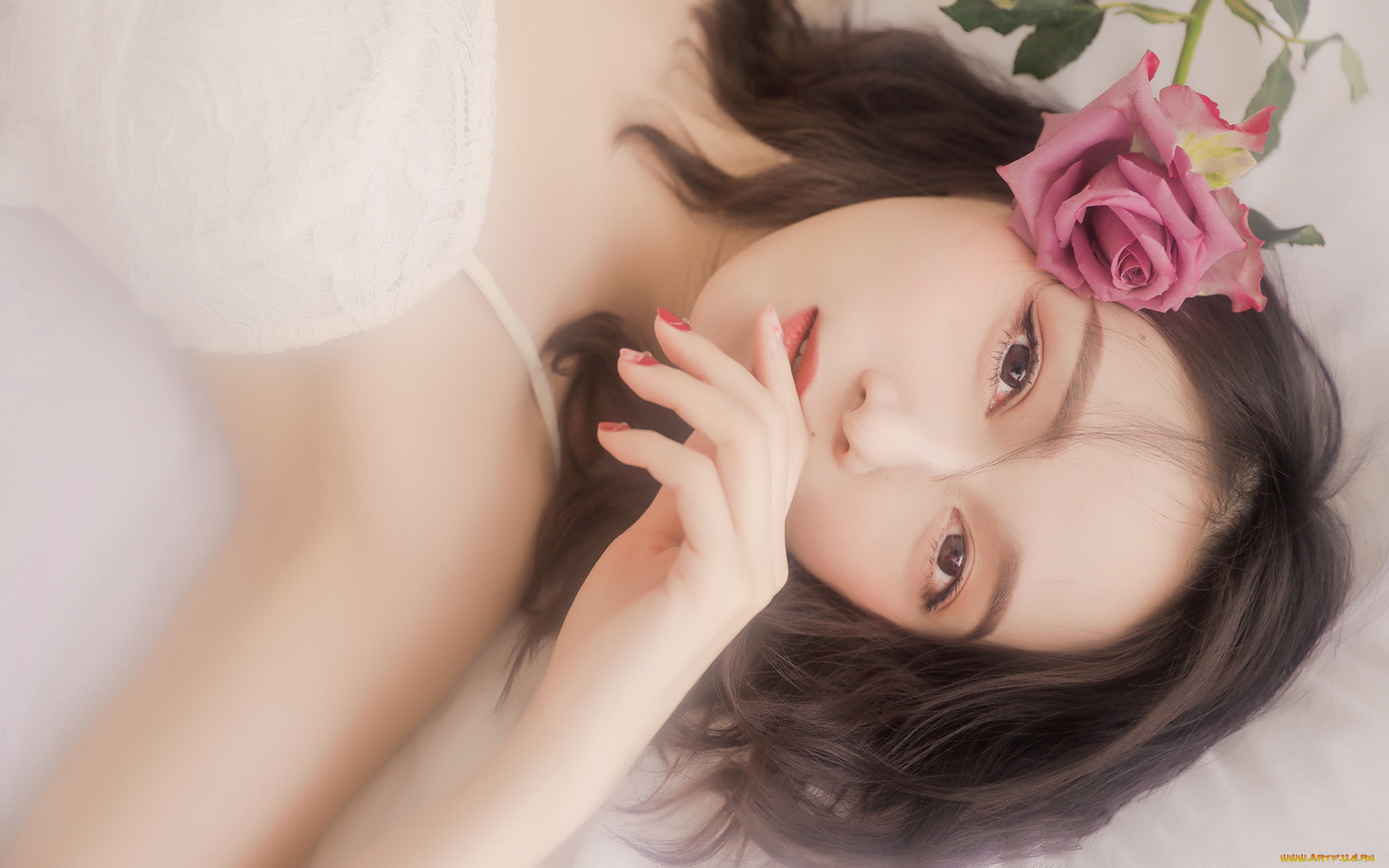 девушки, -, лица, , портреты, лицо, роза