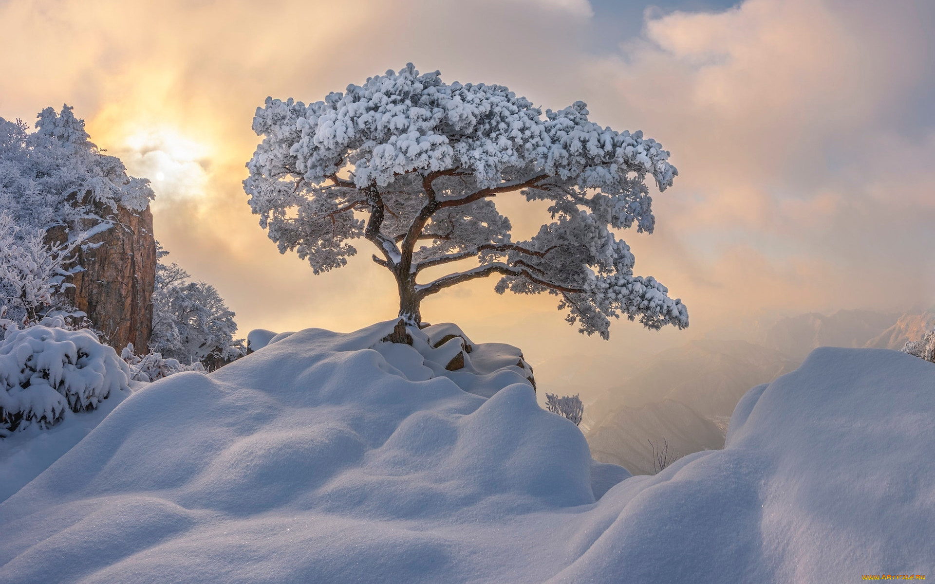 природа, зима, снег, сугробы