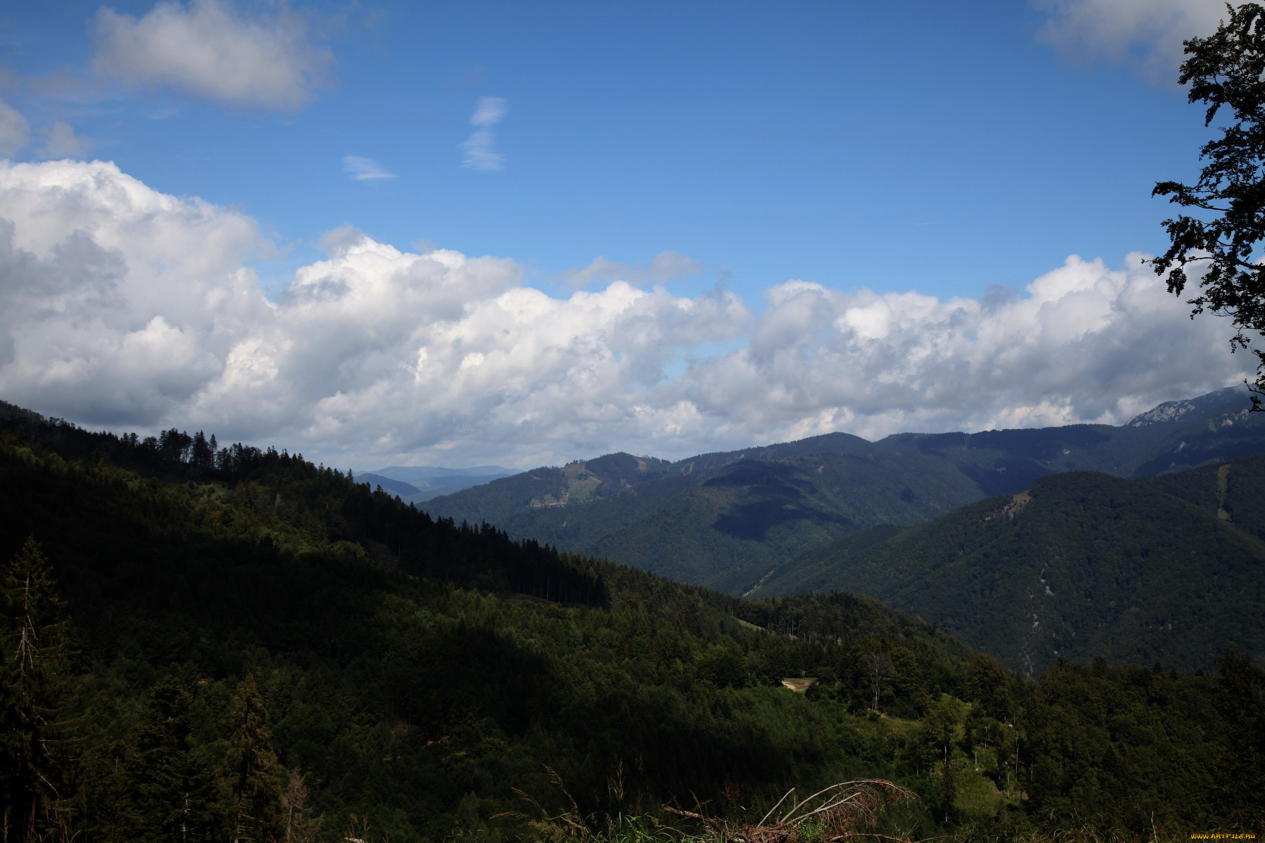 чехия, природа, горы