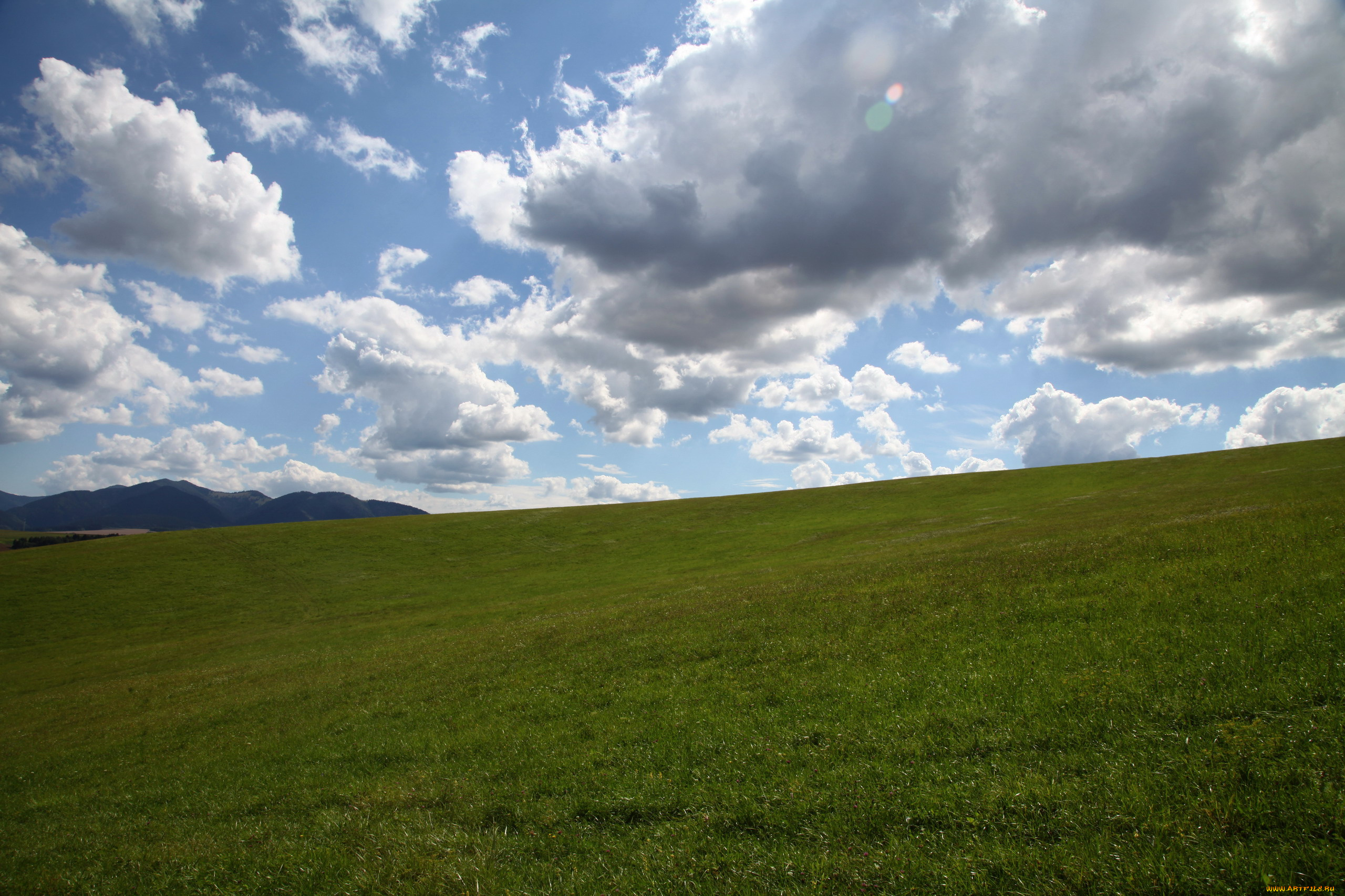 чехия, природа, луга