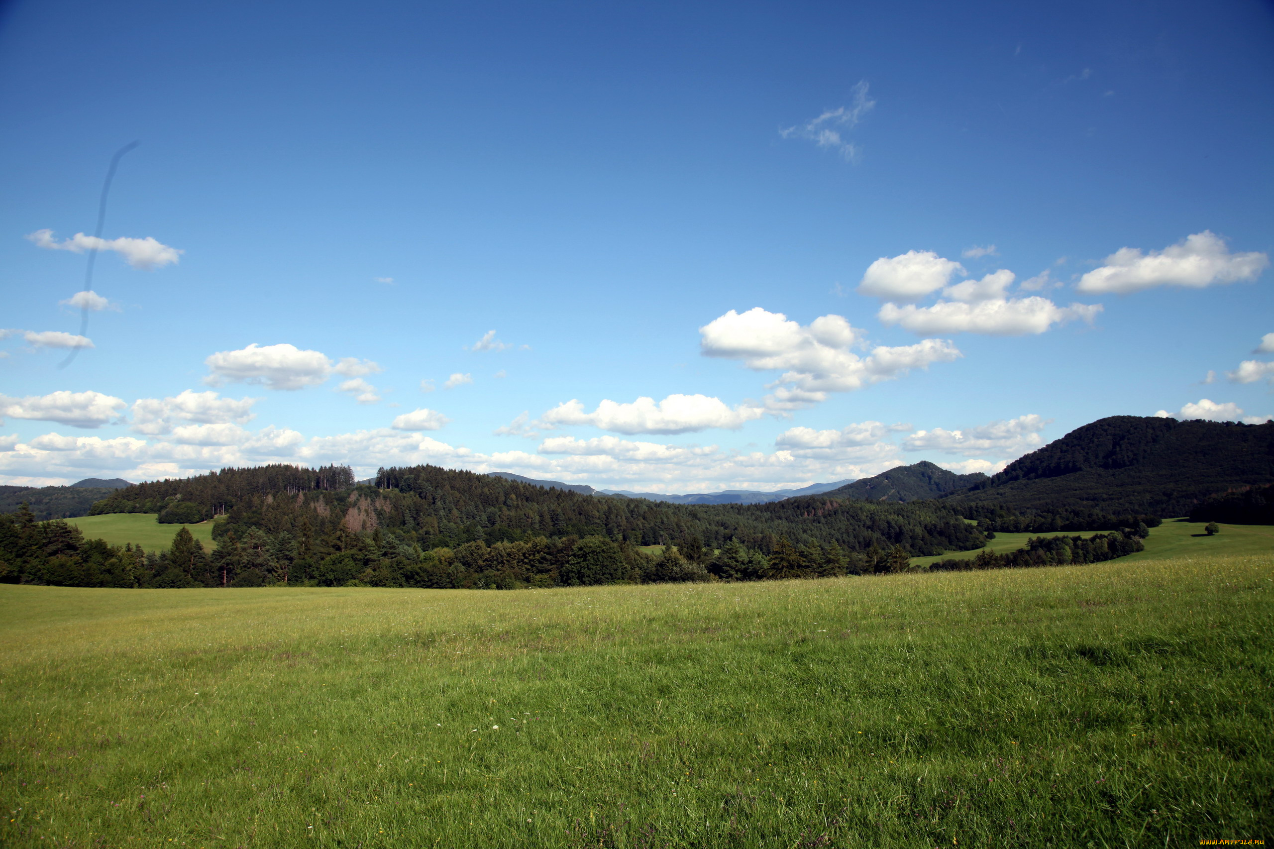 чехия, природа, луга