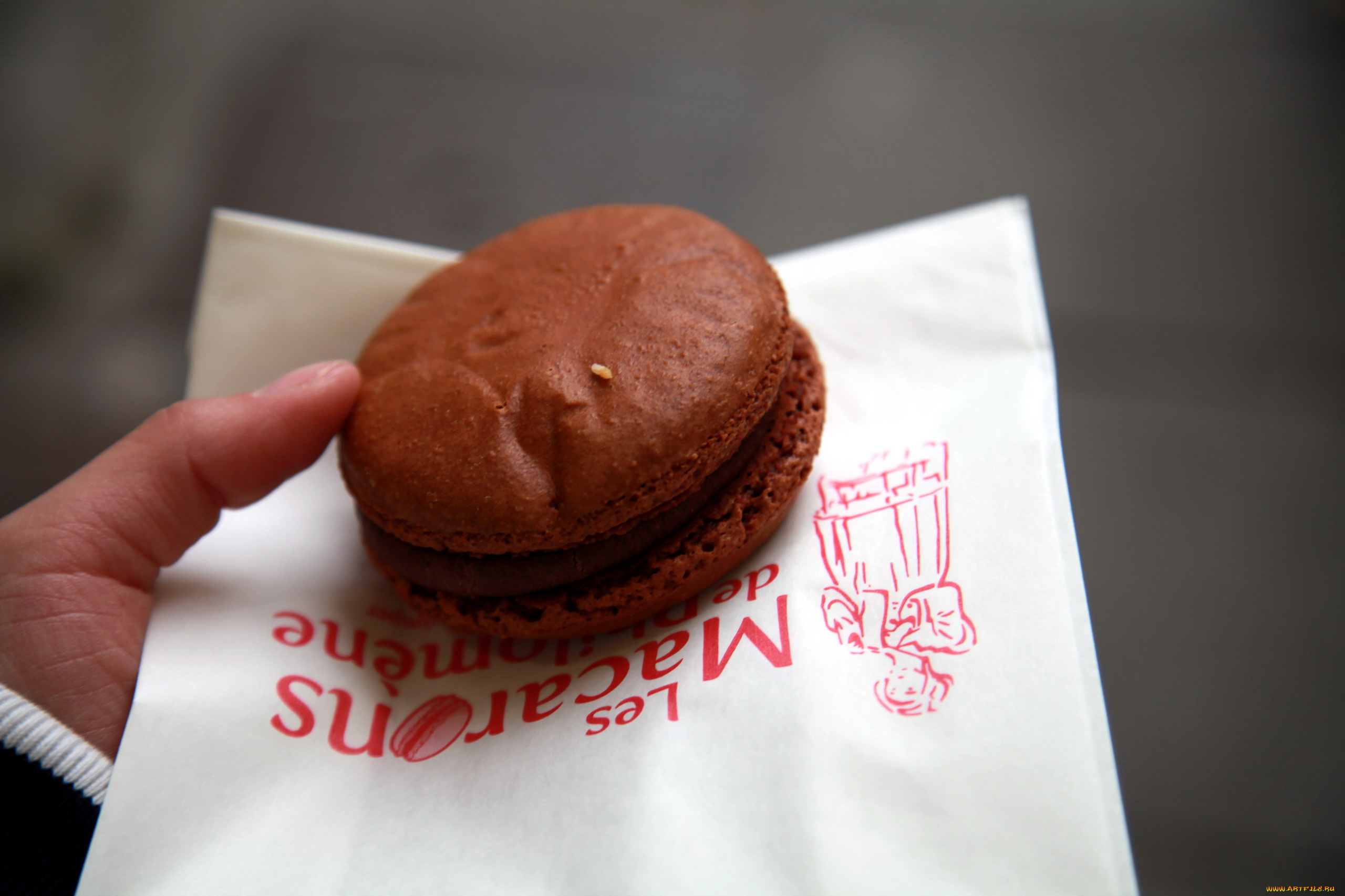 еда, макаруны, шоколадный, макарун, десерт