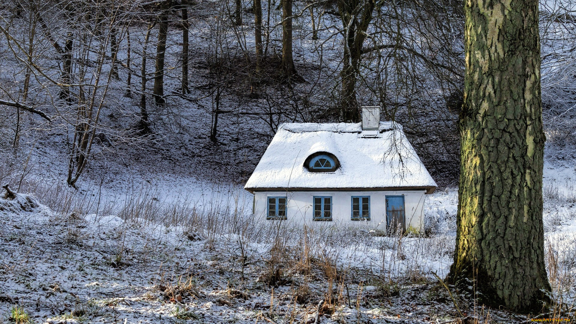 города, -, здания, , дома, лес, деревья, дом, снег, зима