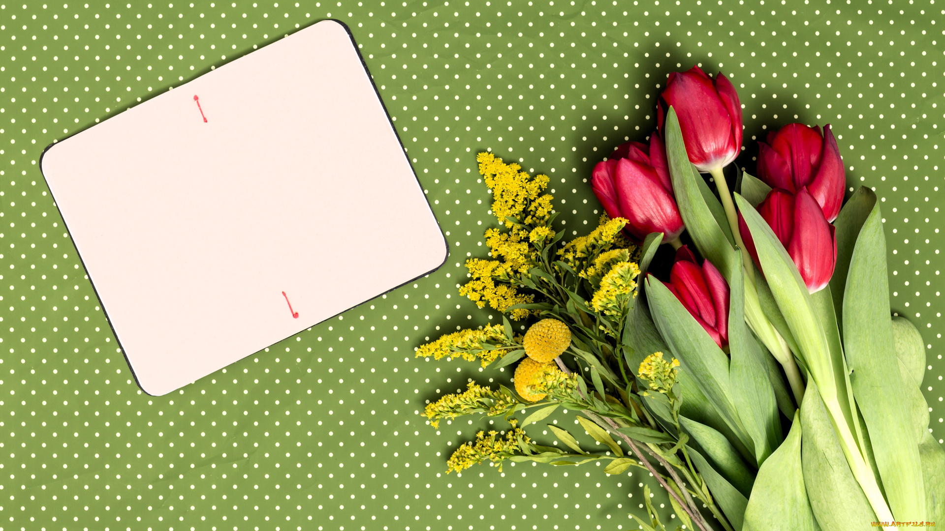 цветы, букеты, , композиции, букет, бумага