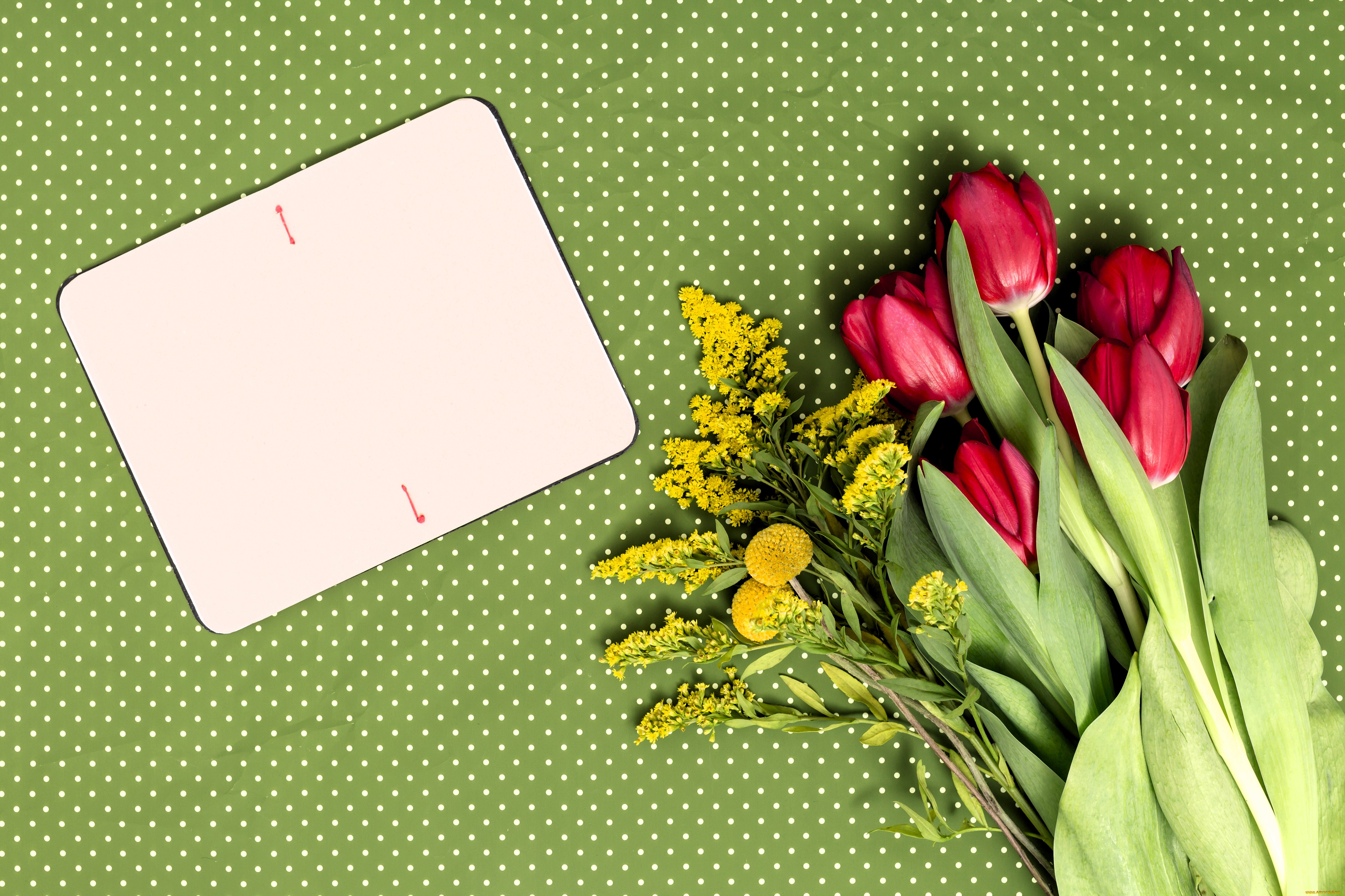 цветы, букеты, , композиции, букет, бумага