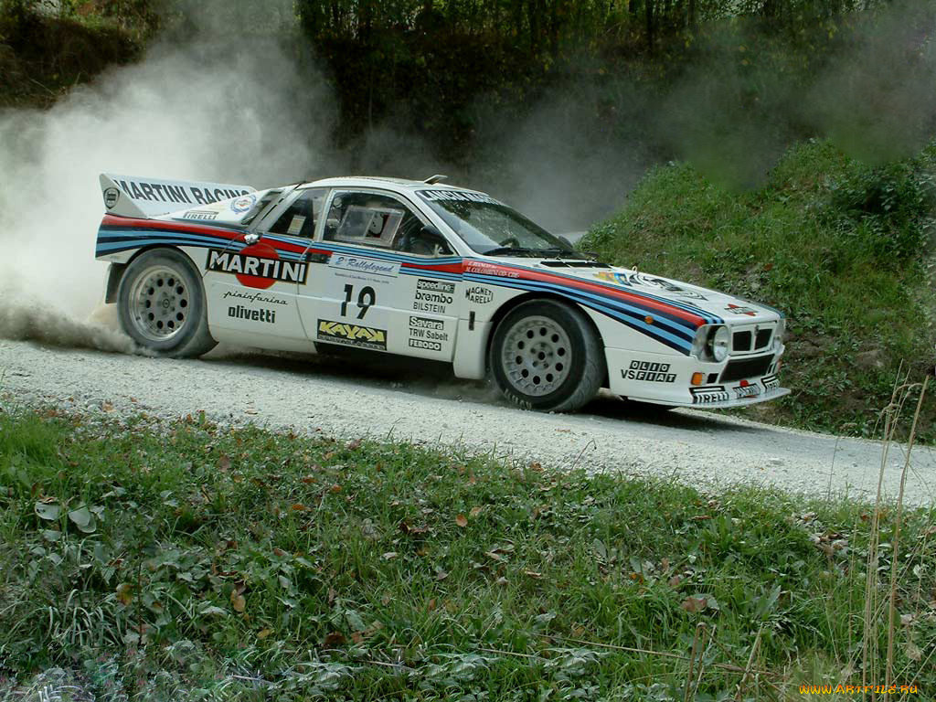 спорт, авторалли