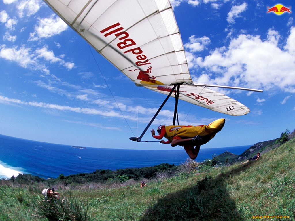 бренды, red, bull