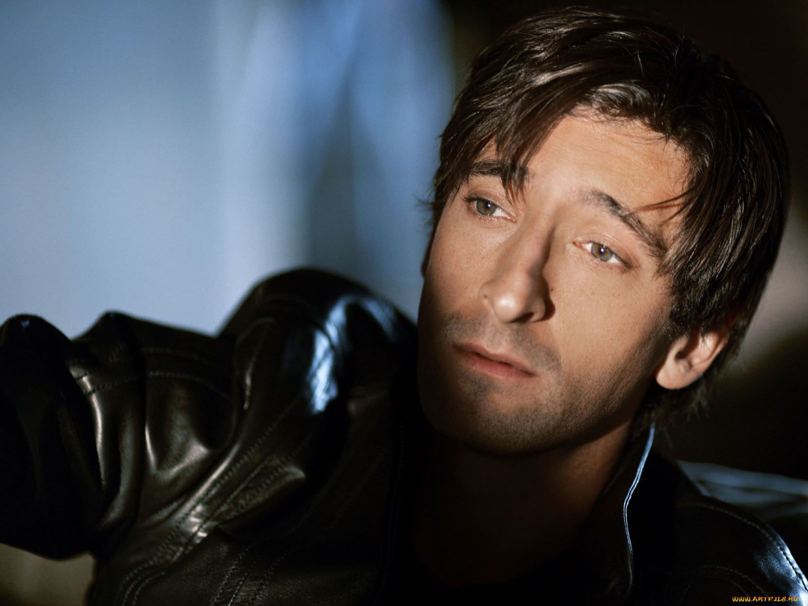 мужчины, adrien, brody