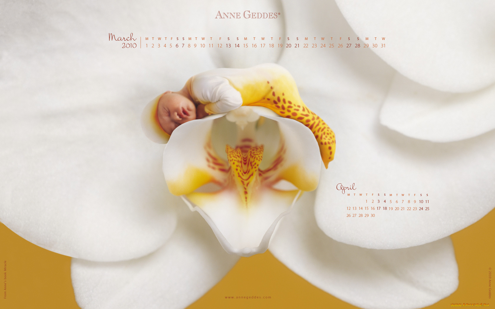 календари, дети