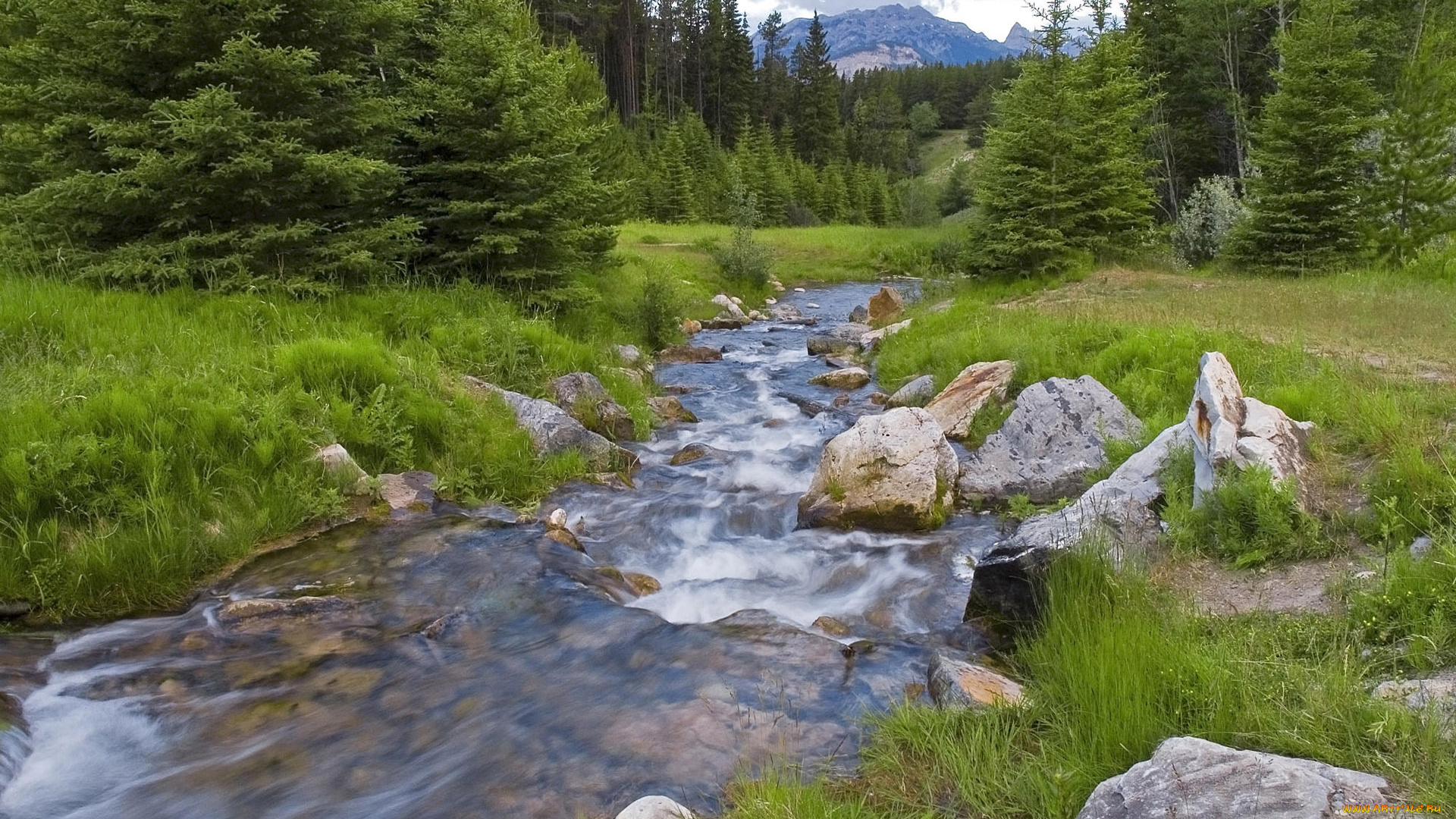 природа, реки, озера