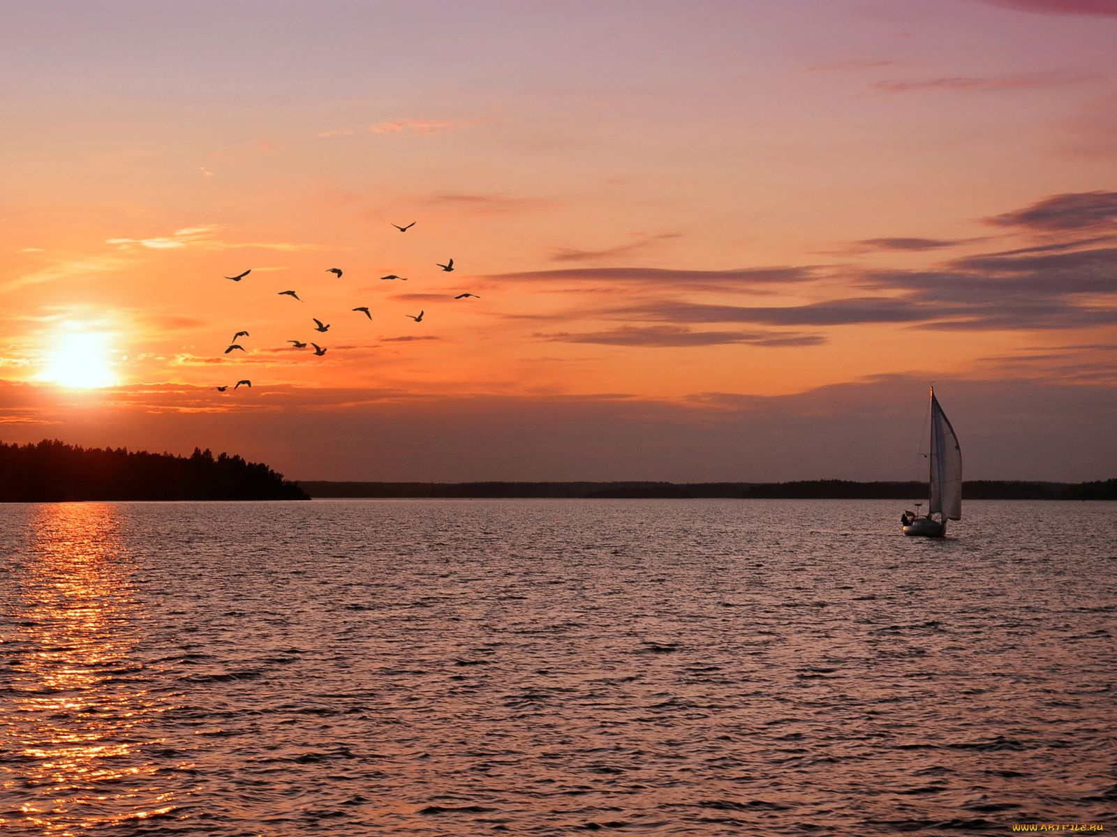 корабли, Яхты