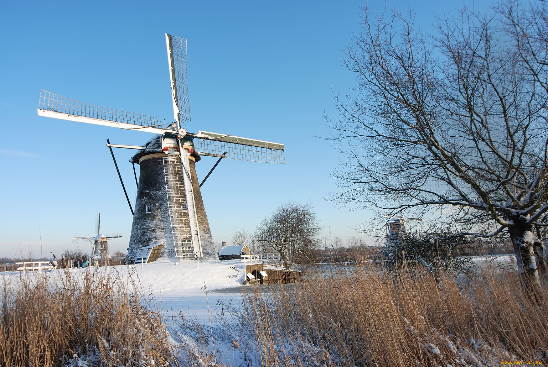 разное, мельницы, зима, деревья, мельница