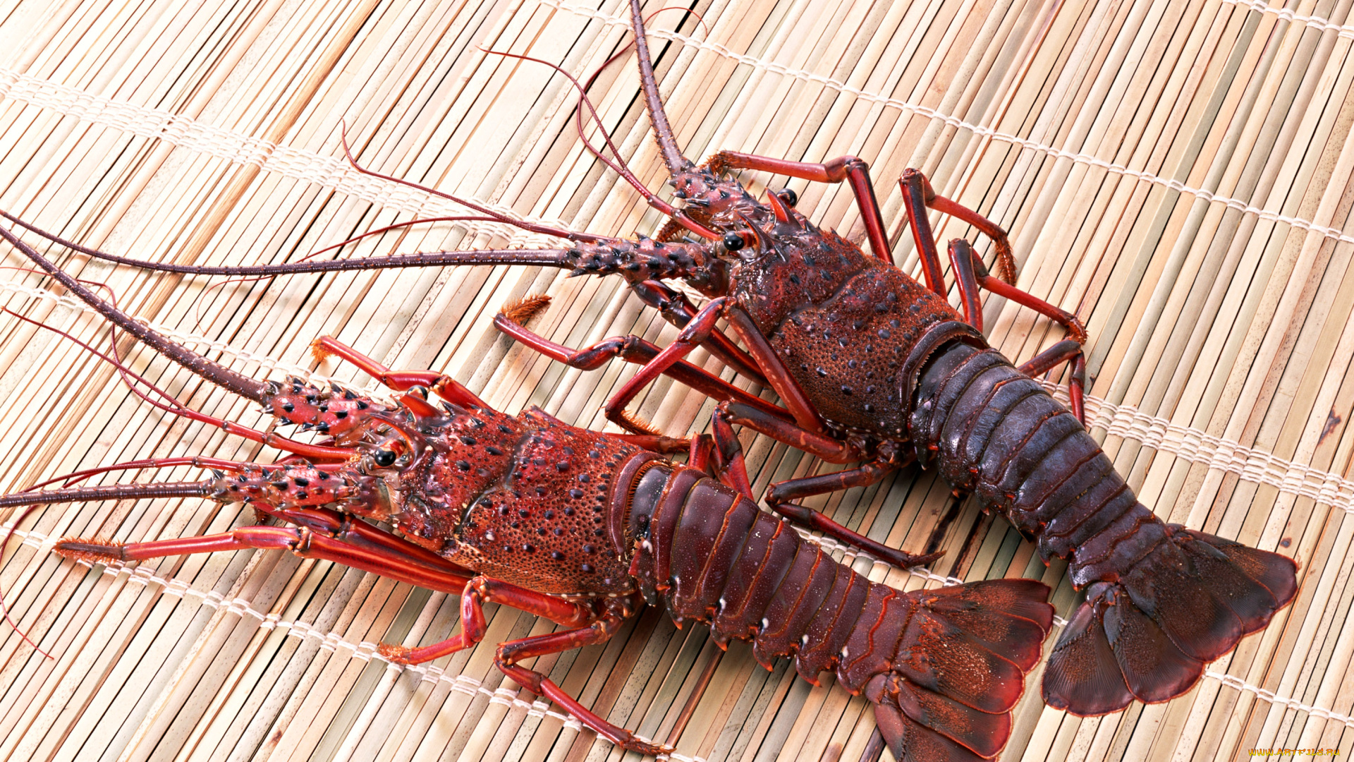 еда, рыба, морепродукты, суши, роллы, рак