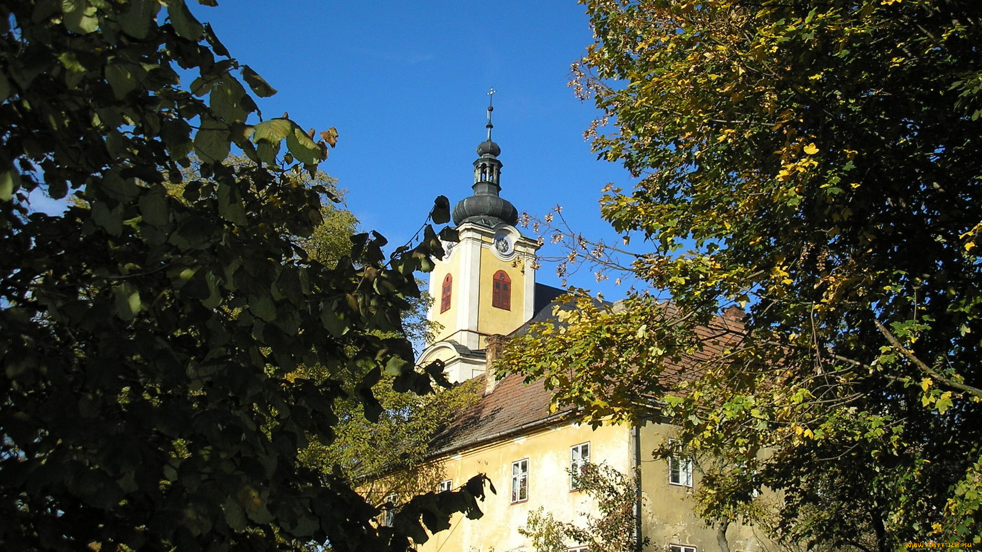 города, католические, соборы, костелы, аббатства, башня, деревья