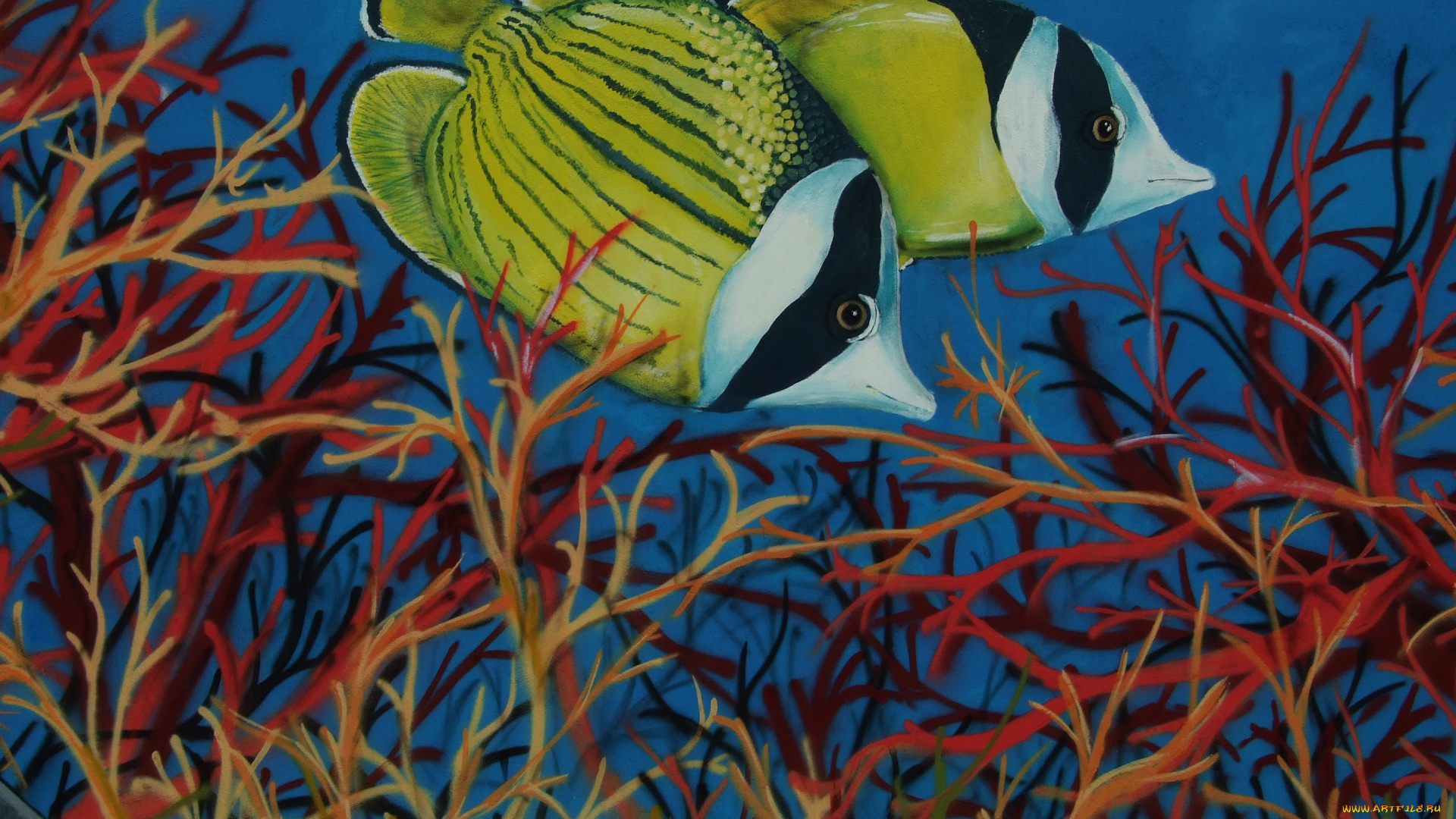 разное, граффити, рыба