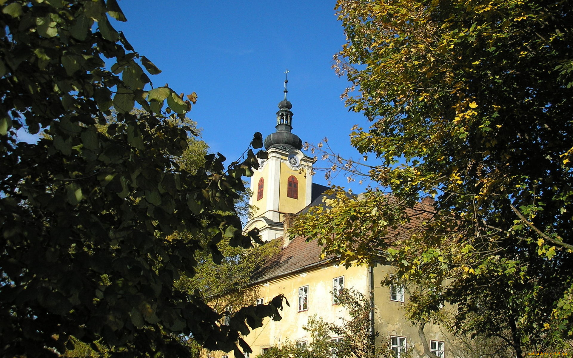 города, католические, соборы, костелы, аббатства, башня, деревья