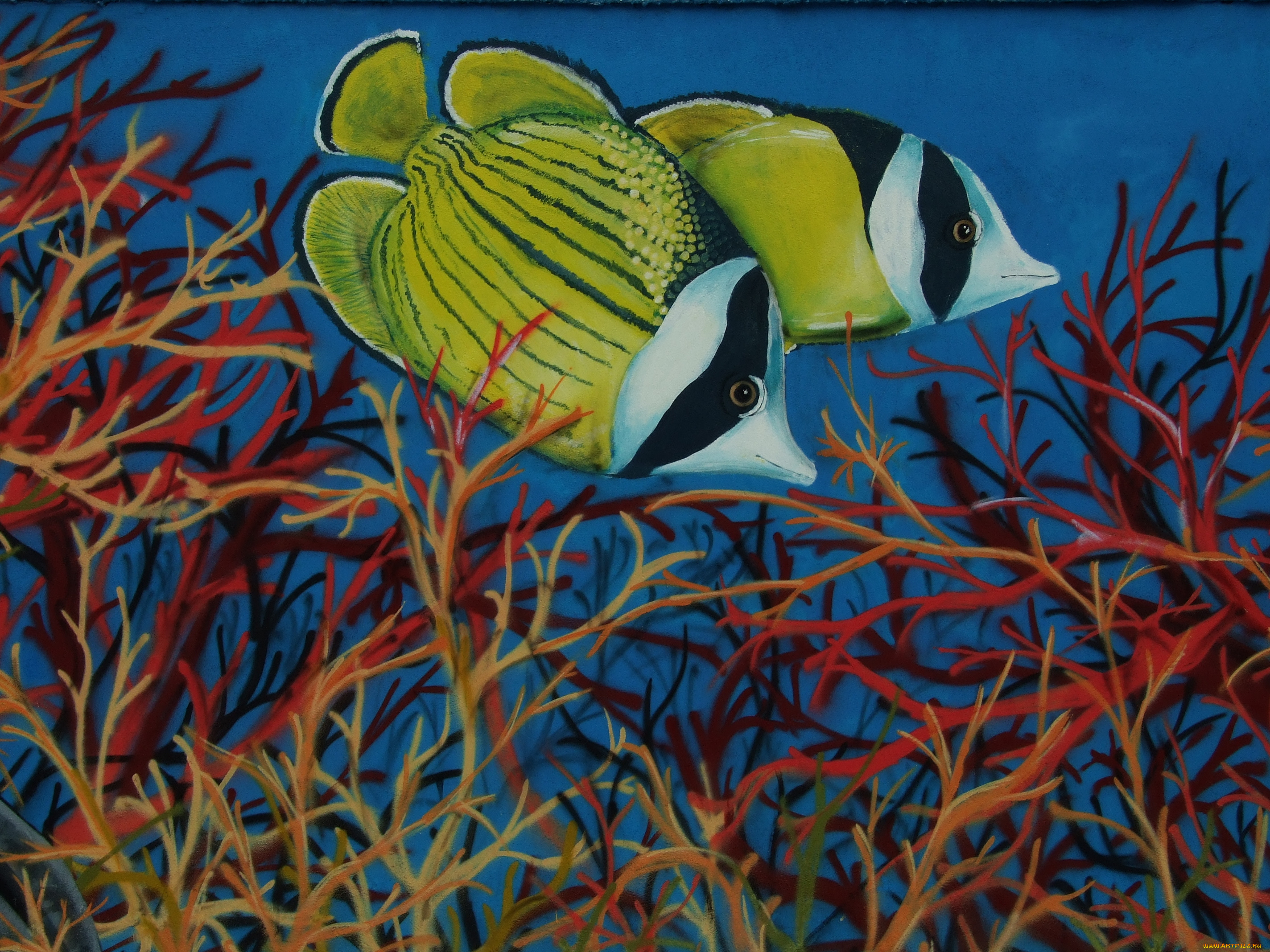 разное, граффити, рыба