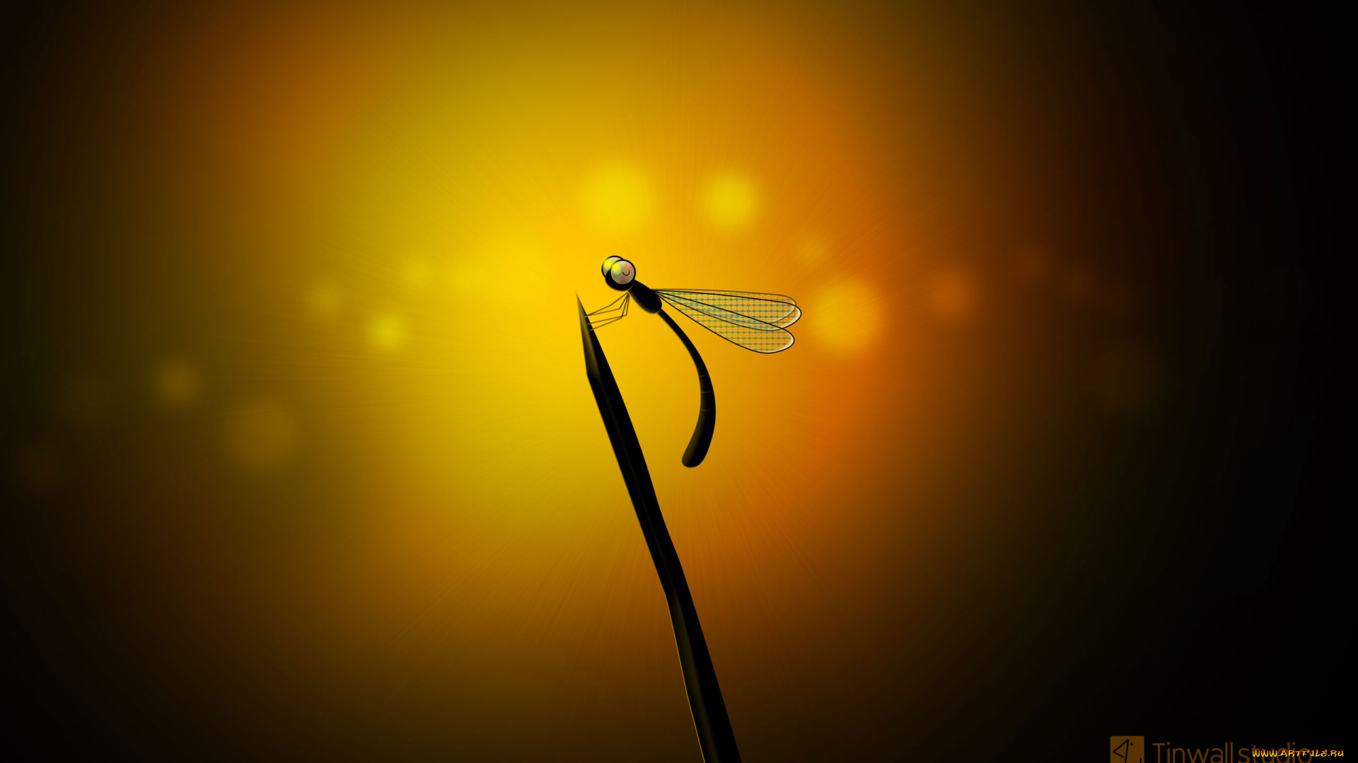 векторная, графика, стрекоза