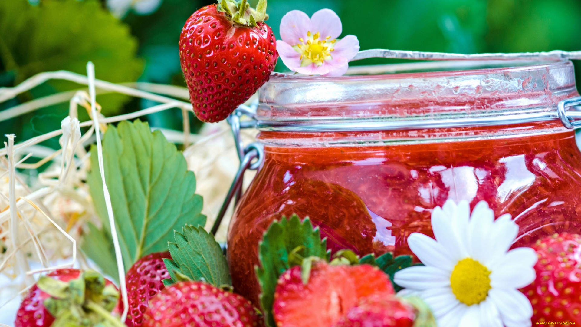 еда, мёд, , варенье, , повидло, , джем, варенье, банка, цветы, ягоды, клубника, джем, ромашки