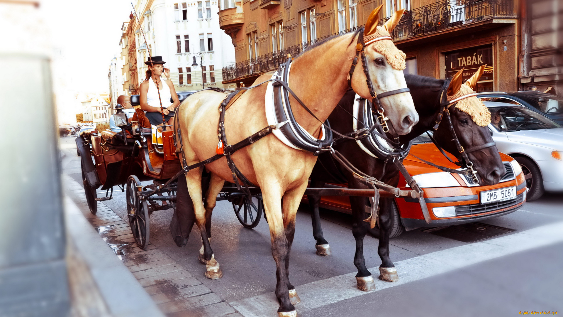 города, прага, , Чехия, прага, возница, лошади, повозка, улица, столица, машины, траффик, здания, дома