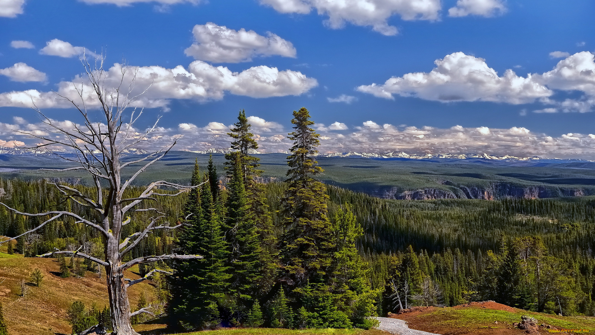 природа, пейзажи, облака, леса, долина, горы