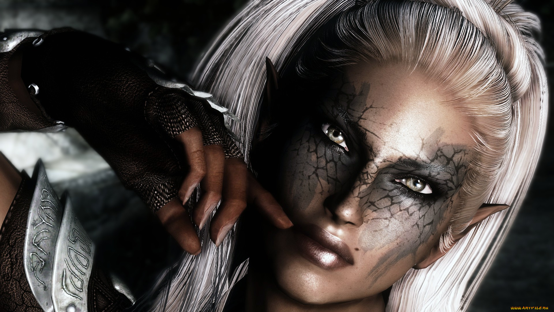 the, elder, scrolls, v, , skyrim, видео, игры, окрас, девушка, эльф