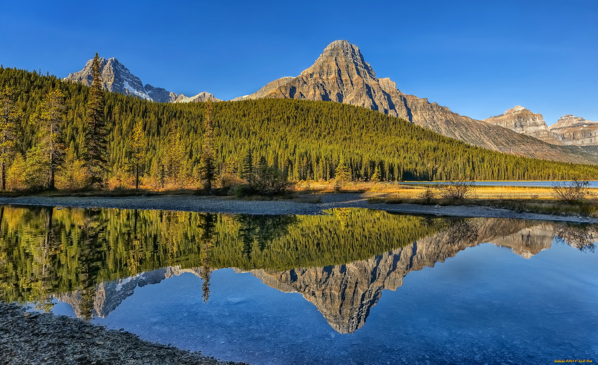 природа, реки, озера, река, лес, горы