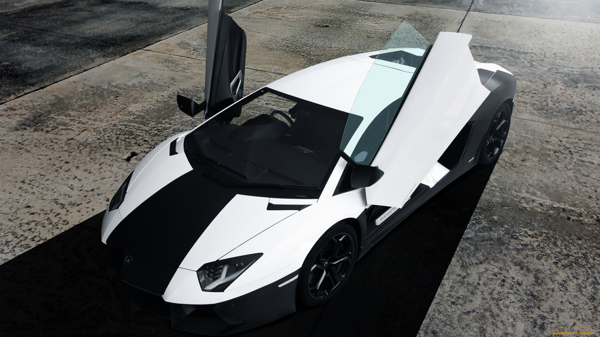 lamborghini, aventador, автомобили, lamborghini, black, aventador, front, перед, авентадор, ламборгини, white